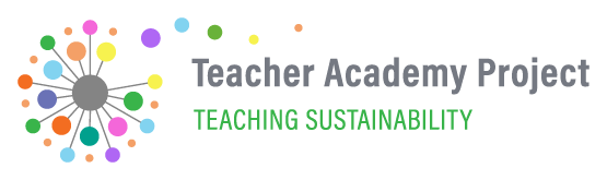 Teachers Academy Project