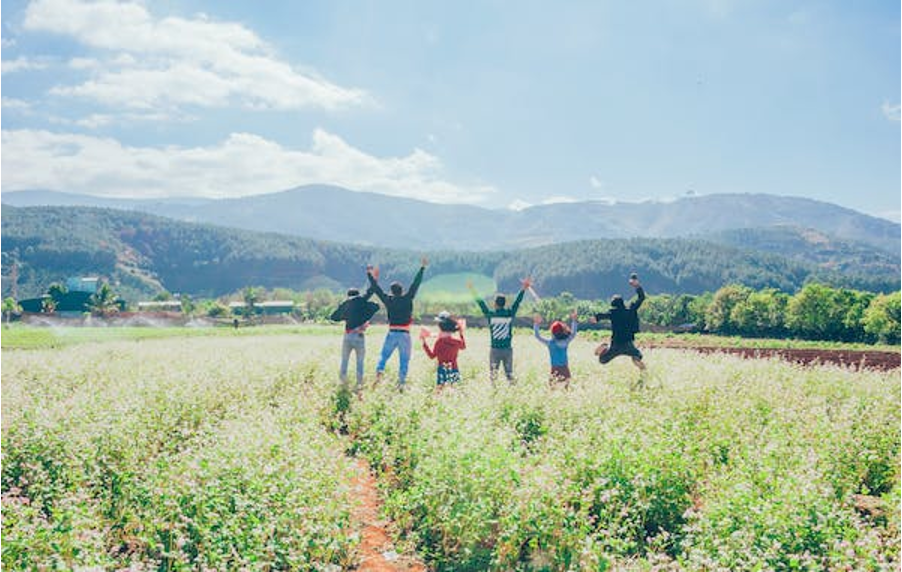 Sustainable Futures Education: International Perspectives and Practices